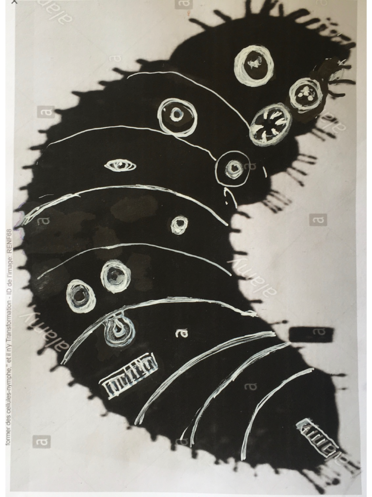 Insecte 10 - 20x14 - Technique mixte - 2020 - Magali LE DOZE