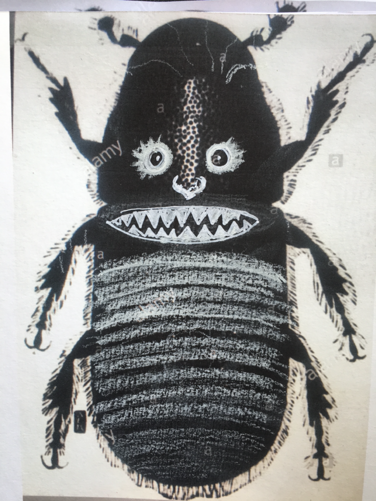 Insecte 12 - 20x14 - Technique mixte - 2020 - Magali LE DOZE