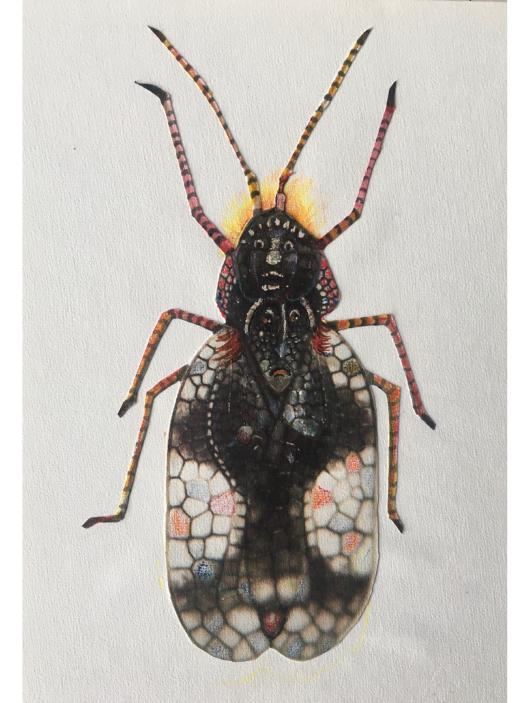 Insecte 2 - 30x21 - Technique mixte - 2020 - Magali LE DOZE