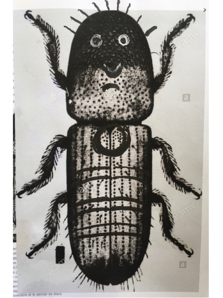 Insecte 9 - 18x11 - Technique mixte - 2020 - Magali LE DOZE