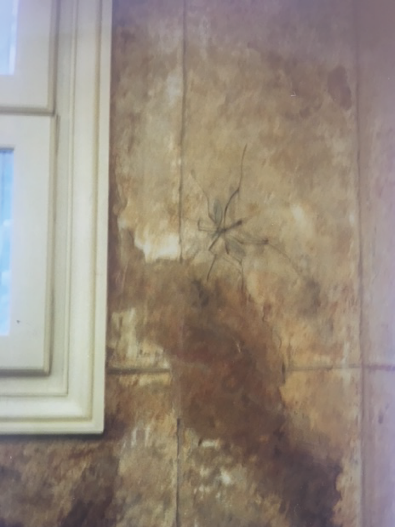 Moustique en trompe l'œil- Bd des Capucines Paris - Magali LE DOZE