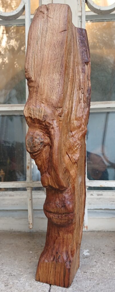 Sculpture 1 - Bois - Nijazi HASHANI